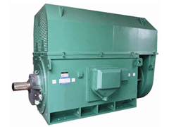 Y5005-6Y系列6KV高压电机