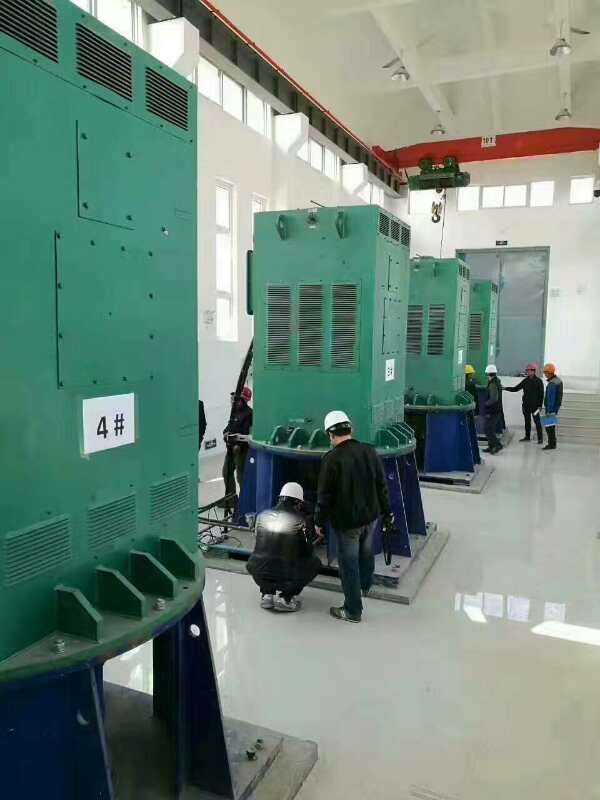 Y5005-6某污水处理厂使用我厂的立式高压电机安装现场