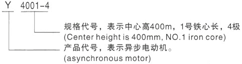 西安泰富西玛Y系列(H355-1000)高压Y5005-6三相异步电机型号说明