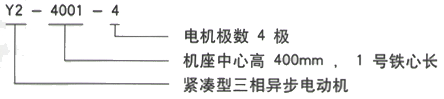 YR系列(H355-1000)高压Y5005-6三相异步电机西安西玛电机型号说明