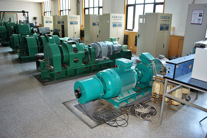 Y5005-6某热电厂使用我厂的YKK高压电机提供动力