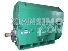 Y5005-6YXKK(2极)高效高压电机技术参数